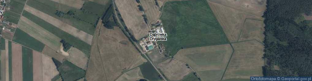Zdjęcie satelitarne Dąbrówka Drygalska ul.
